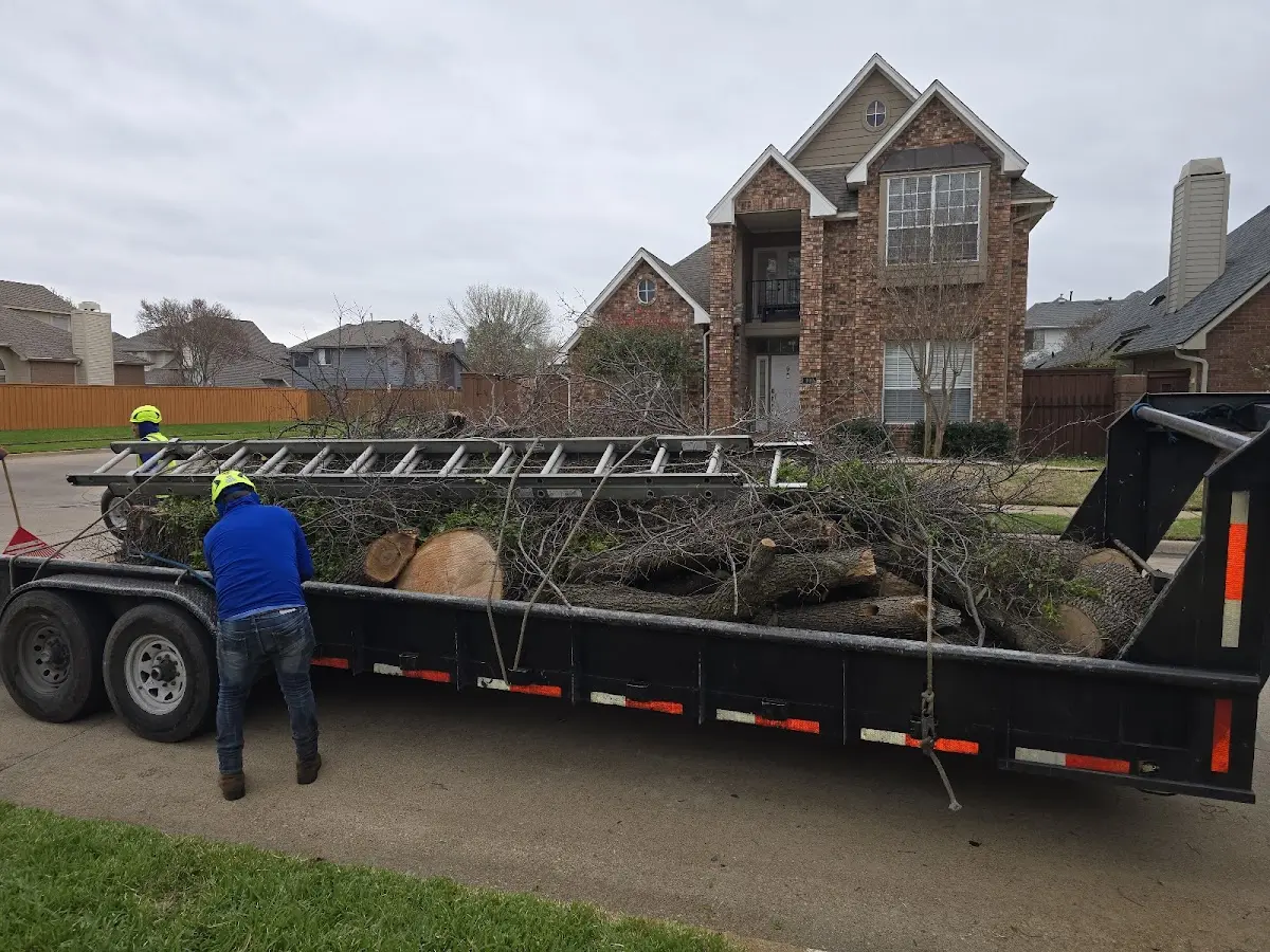 Expert Tree Pest Control with proper safety equipment in La Pointe